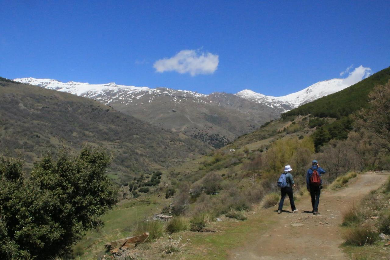 Casa Del Patio Bed & Breakfast Pinos del Valle Екстериор снимка