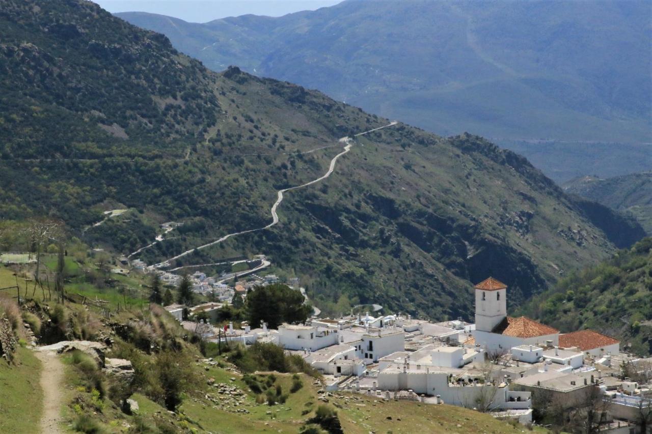 Casa Del Patio Bed & Breakfast Pinos del Valle Екстериор снимка