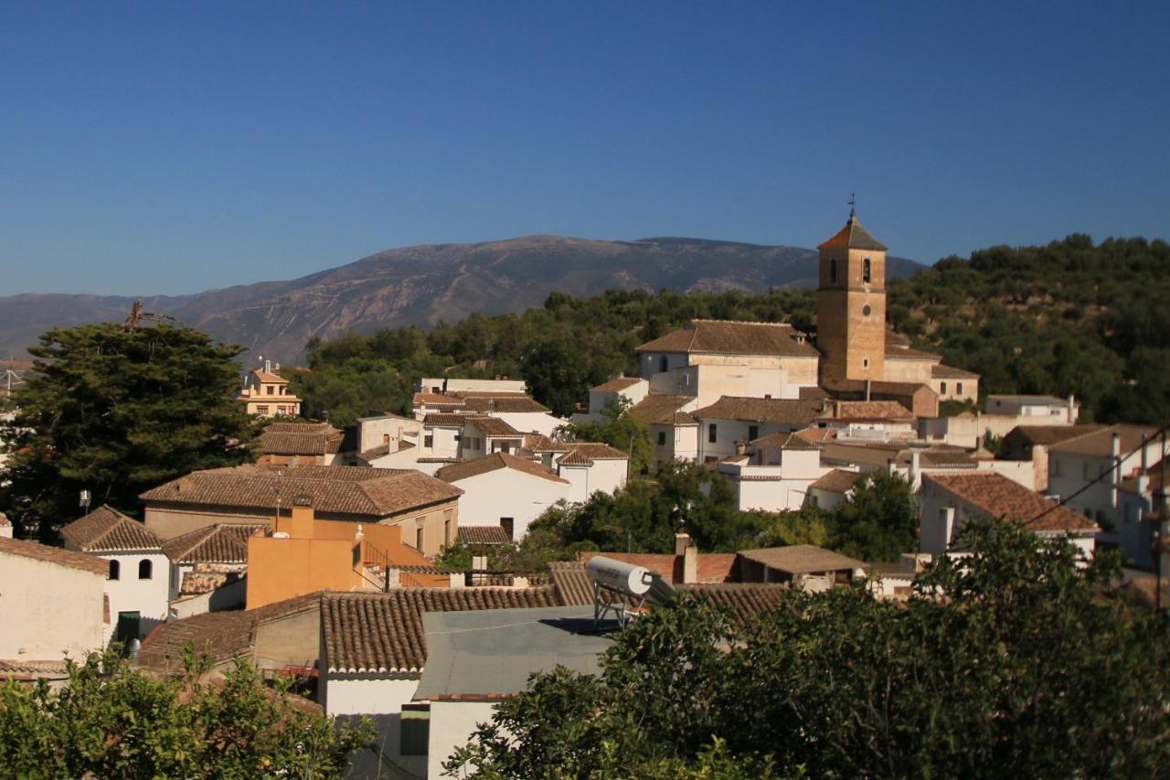 Casa Del Patio Bed & Breakfast Pinos del Valle Екстериор снимка